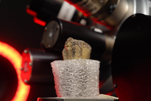 A bone undergoing scanning. (Image: Marsha Miller/UT Austin)